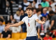 开云体育在线-关于匈牙利队战至最后关头晋级榜末的信息