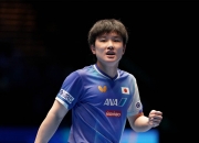 开云体育登录-包含英国乒乓球队完胜比利时乒乓球队，张本智和爆发神勇的词条