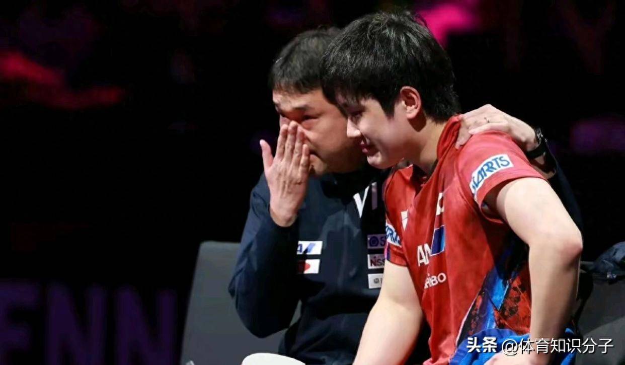 日本乒乓球队血洗瑞典乒乓球队，张本智和绝境逆转的简单介绍