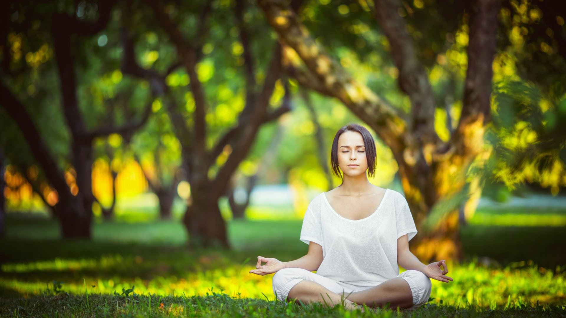 北伦敦的极夜,当劳塔罗的指尖改写了欧冠的星图